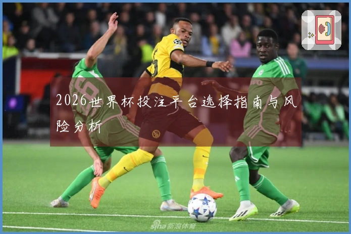 2026世界杯投注平台选择指南与风险分析