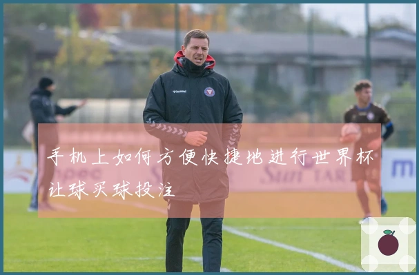 手机上如何方便快捷地进行世界杯让球买球投注