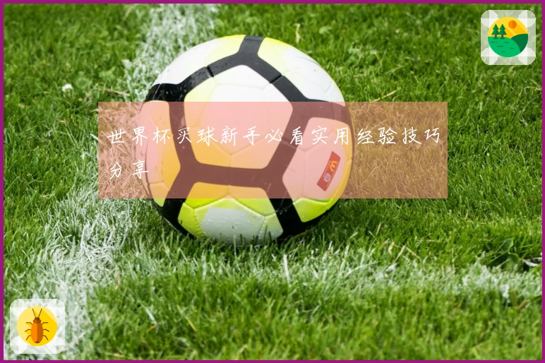 世界杯买球新手必看实用经验技巧分享