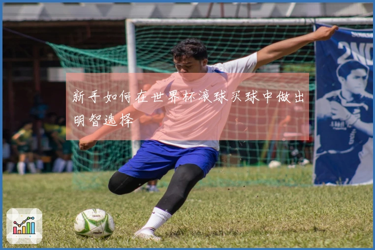 新手如何在世界杯滚球买球中做出明智选择