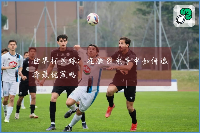 世界杯买球：在激烈竞争中如何选择最优策略