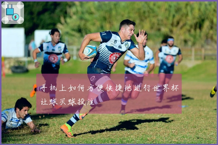 手机上如何方便快捷地进行世界杯让球买球投注