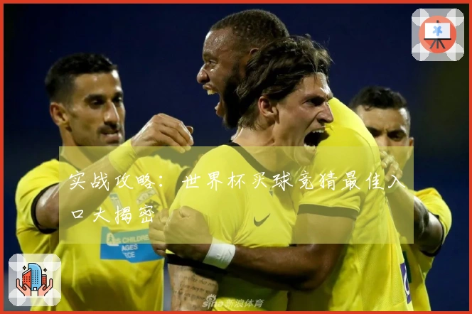 实战攻略：世界杯买球竞猜最佳入口大揭密
