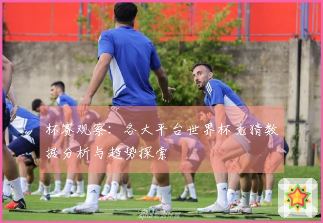 杯赛观察：各大平台世界杯竞猜数据分析与趋势探索