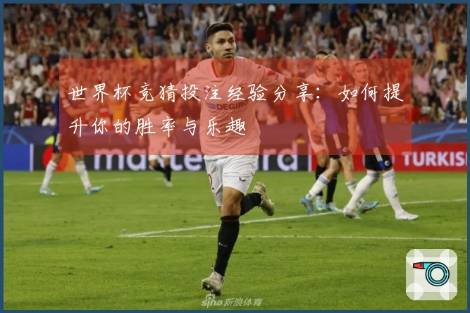 世界杯竞猜投注经验分享：如何提升你的胜率与乐趣