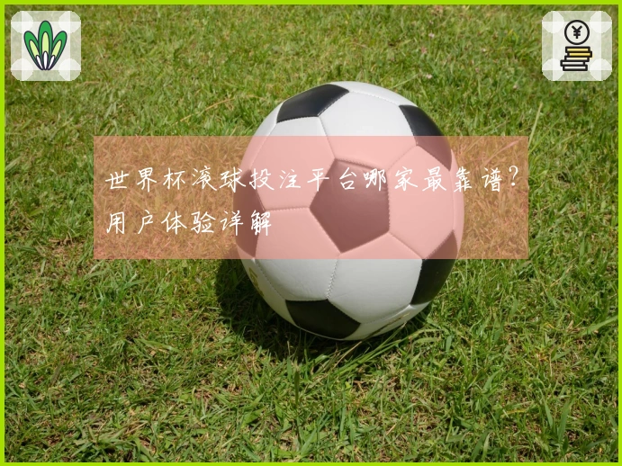 世界杯滚球投注平台哪家最靠谱？用户体验详解