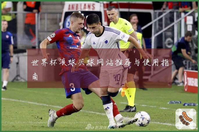 世界杯滚球买球网站推荐与使用指南