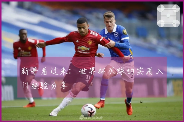 新手看过来：世界杯买球的实用入门经验分享