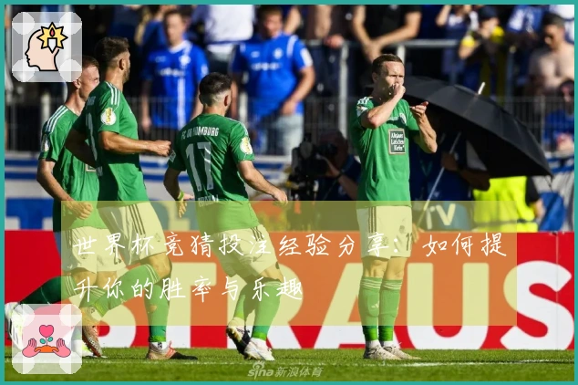 世界杯竞猜投注经验分享：如何提升你的胜率与乐趣