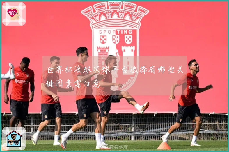 世界杯滚球买球平台选择有哪些关键因素需注意