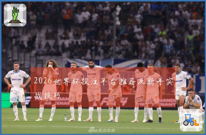 2026世界杯投注平台推荐及新手实战技巧