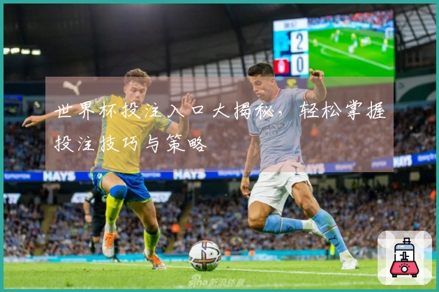 世界杯投注入口大揭秘，轻松掌握投注技巧与策略