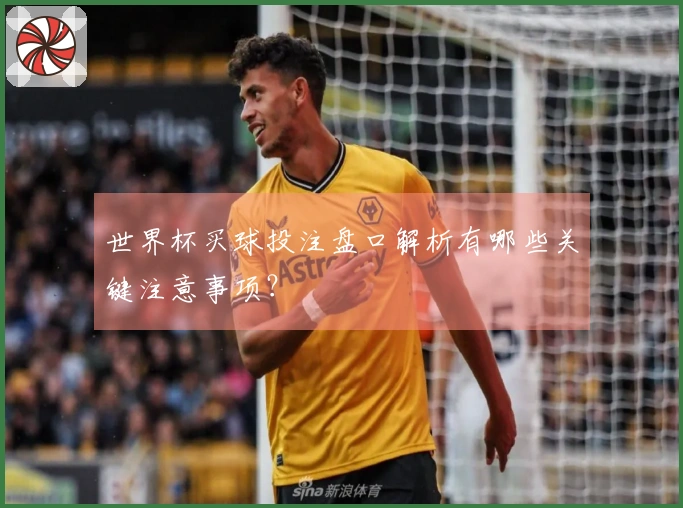 世界杯买球投注盘口解析有哪些关键注意事项？