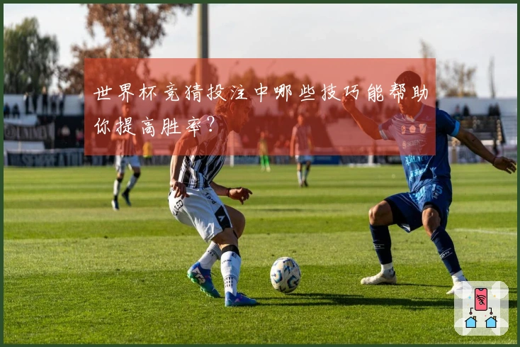 世界杯竞猜投注中哪些技巧能帮助你提高胜率？
