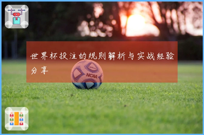 世界杯投注的规则解析与实战经验分享