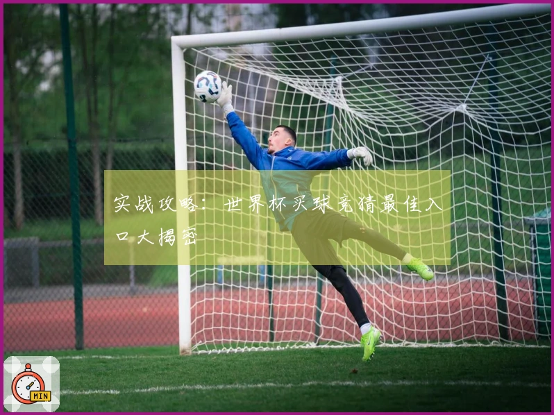 实战攻略：世界杯买球竞猜最佳入口大揭密